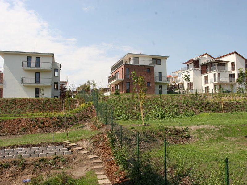 Új albérlet Madárhegy | Alberlet.hu - 462