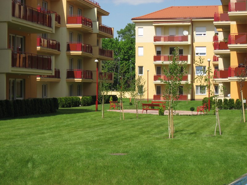 Új albérlet Taraliget lakópark | Alberlet.hu - 576