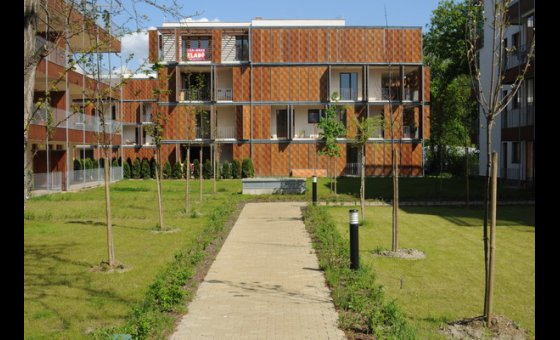 Új albérlet Nánási kert lakópark | Alberlet.hu - 584