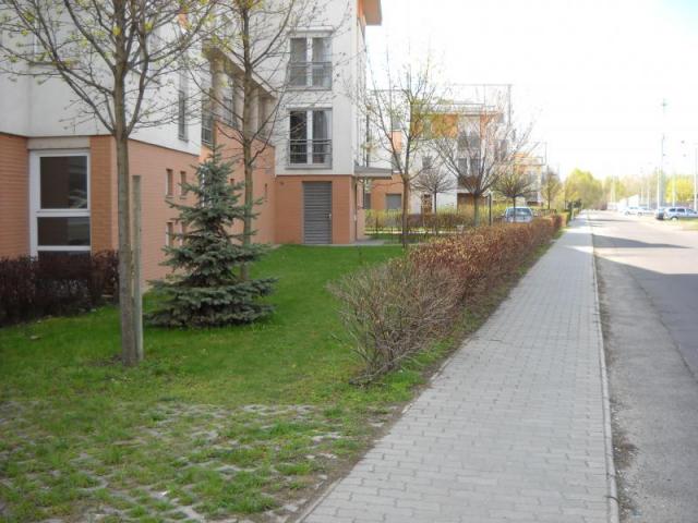 Új albérlet Megyeri lakópark | Alberlet.hu - 868
