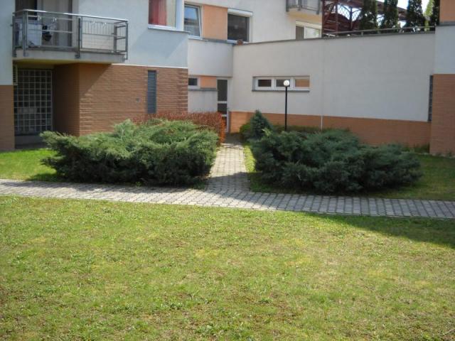 Új albérlet Megyeri lakópark | Alberlet.hu - 869