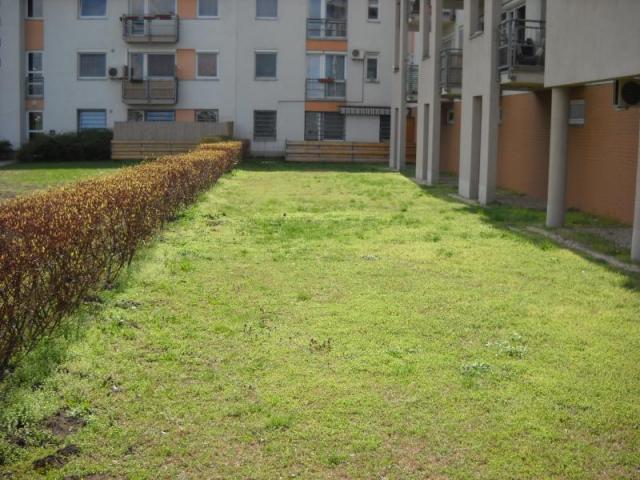 Új albérlet Megyeri lakópark | Alberlet.hu - 872