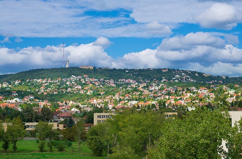 Új albérlet Sasad Liget | Alberlet.hu - 1202