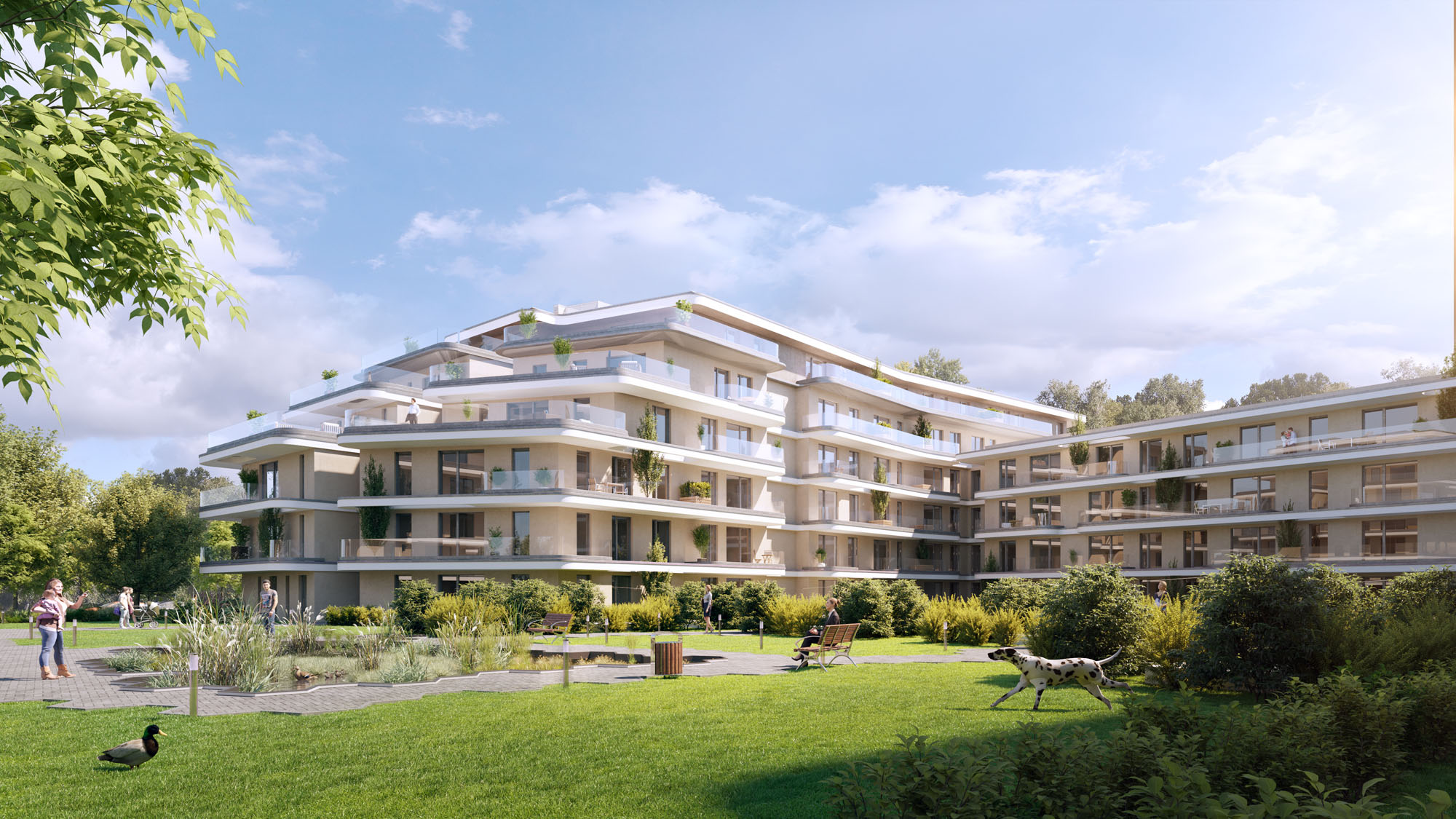 Új albérlet PASKAL GARDEN B ÜTEM | Alberlet.hu - 1372