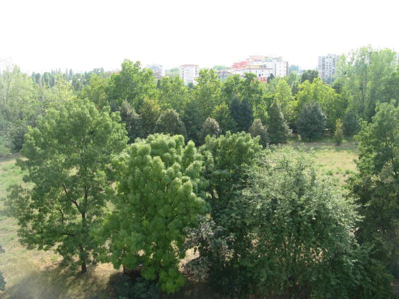 Új albérlet Harmatház Lakópark | Alberlet.hu - 102